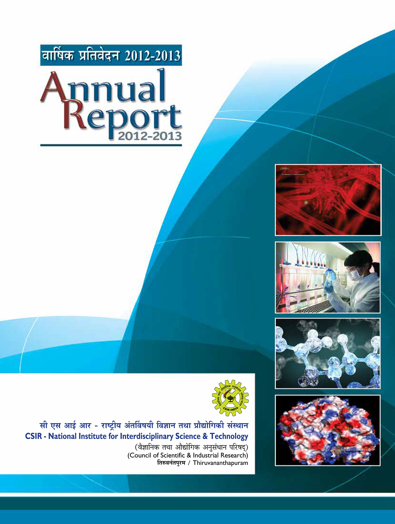 Annual Report 2012 - 2013