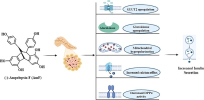 An insight into the mechanistic role of…