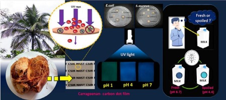 Coconut husk-lignin derived carbon dots incorporated carrageenan based functional film for intelligent food packaging