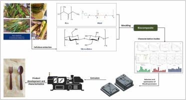 Development and characterization of microfiber incorporated with industrial biopolymer composite based biodegradable cutlery: An alternative to single use plastic