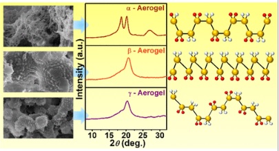 Poly(vinylidene fluoride) Aerogels with α, β, and γ Crystalline Forms: Correlating Physicochemical Properties with Polymorphic Structures