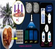 Coconut husk-lignin derived carbon dots…