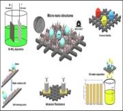 Fabrication of a robust superhydrophobic…