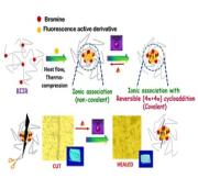 Reversible dual crosslinking in…