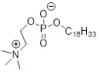 Single-vessel process for synthesis of…